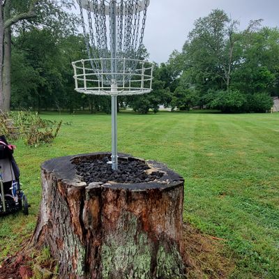 Hole 2 basket looking back at tee