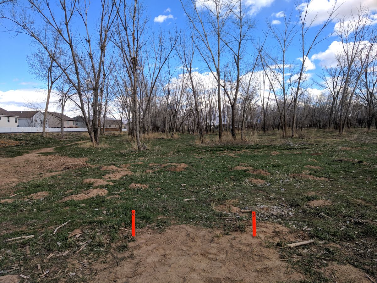 Hole #6 Tee