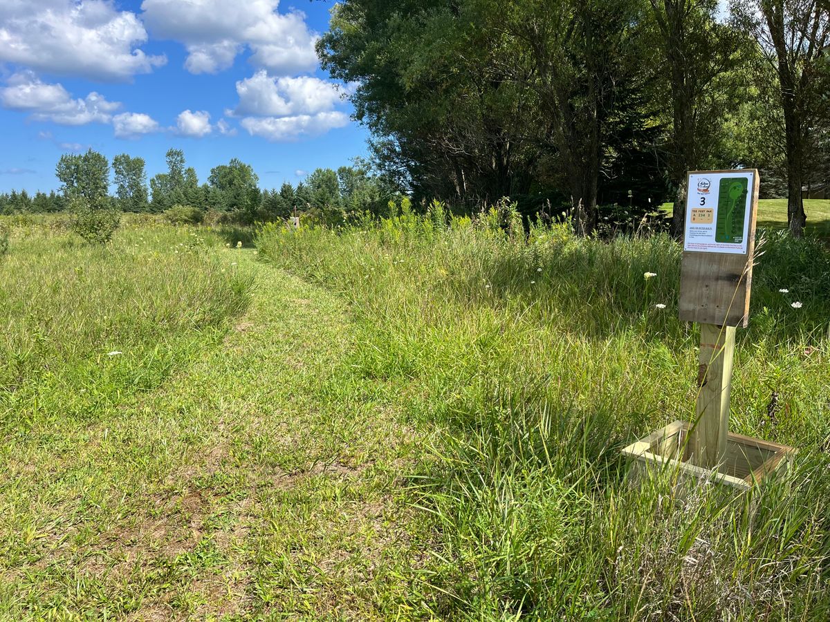 Hole 3 tee