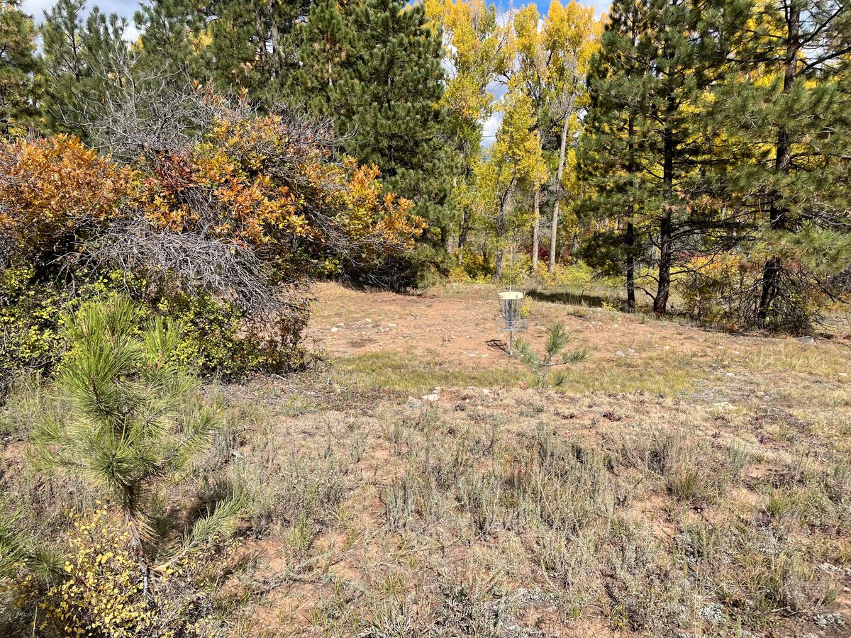 Hole 8 basket Silver Pick Disc Golf Course