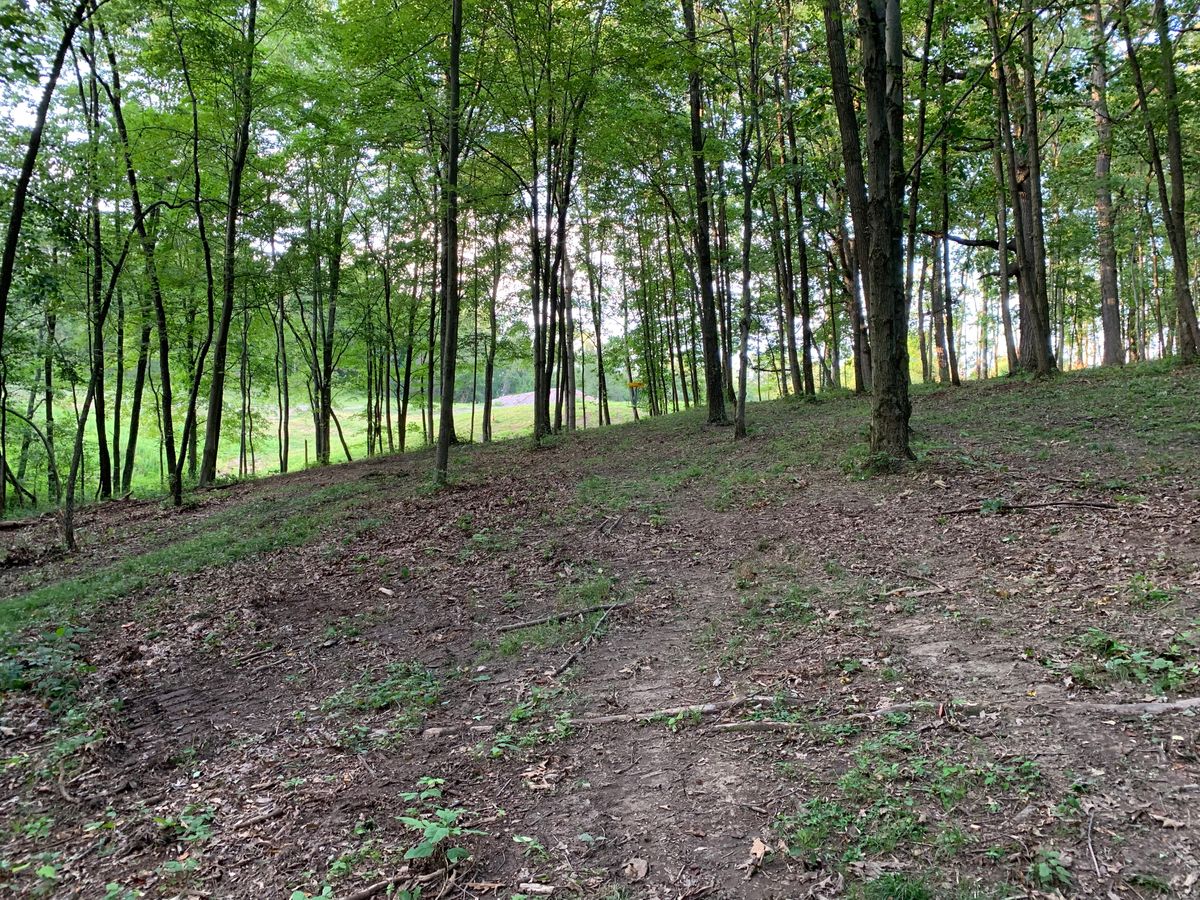 Hole 14C pin approach