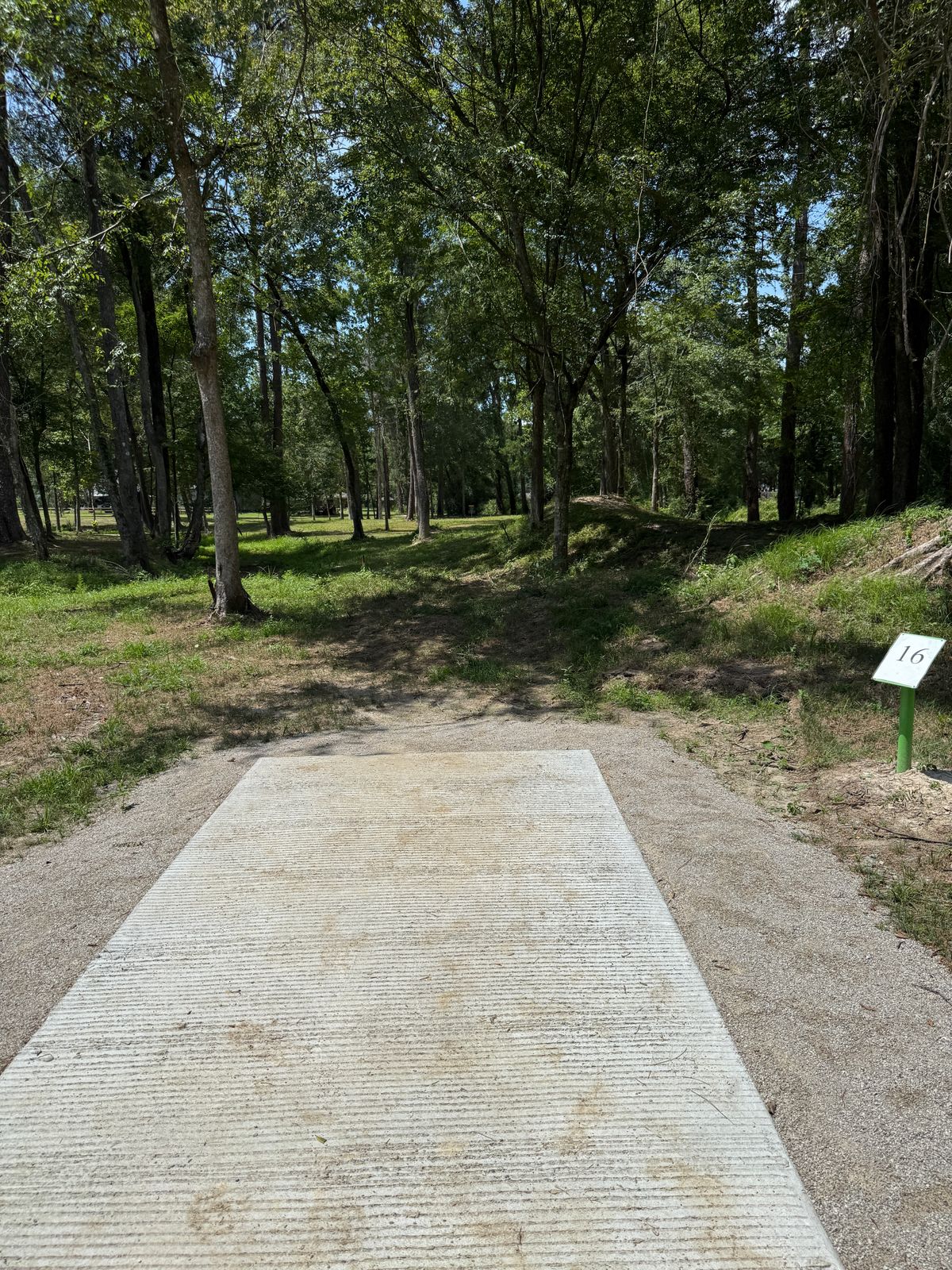 Tee of 16