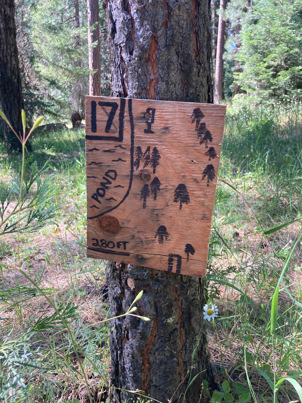 Hole 17? 18? Some rumors of last two holes being modified recently.