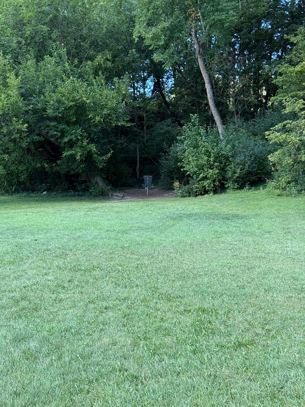 Tee 14 approach