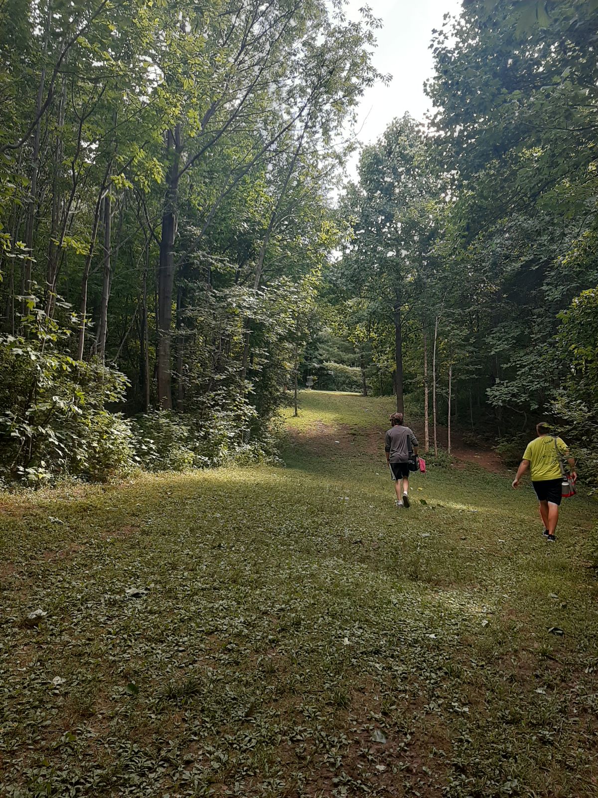 Hole 12 after the curve