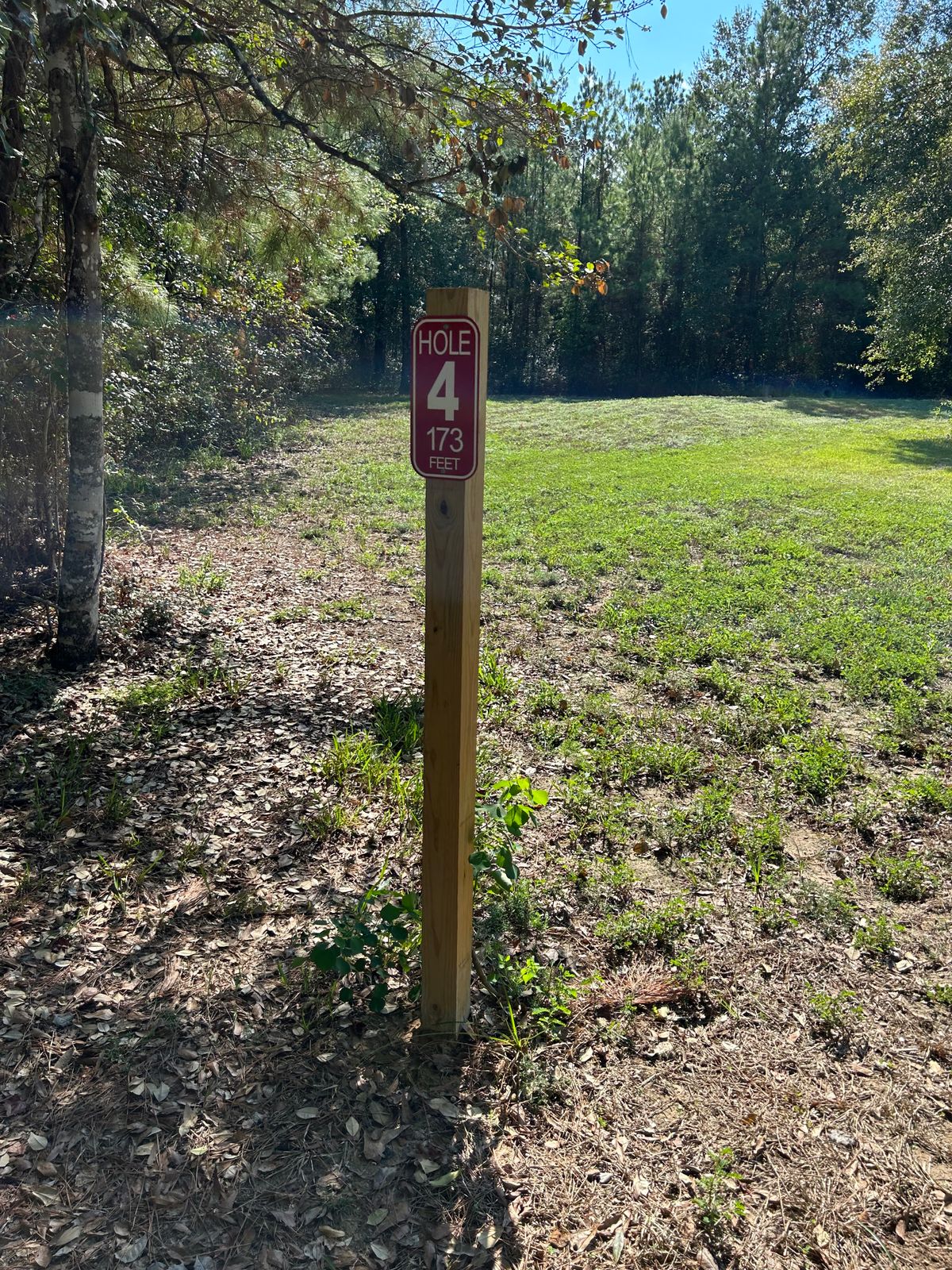 Hole 4