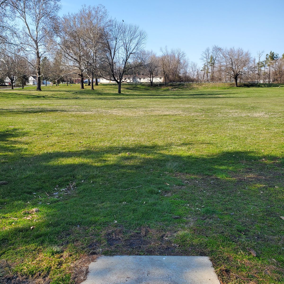 Hole 5 T