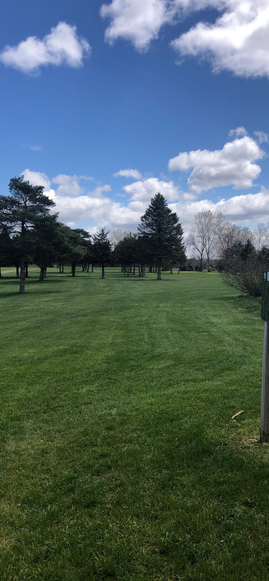 Hole 8 710ft