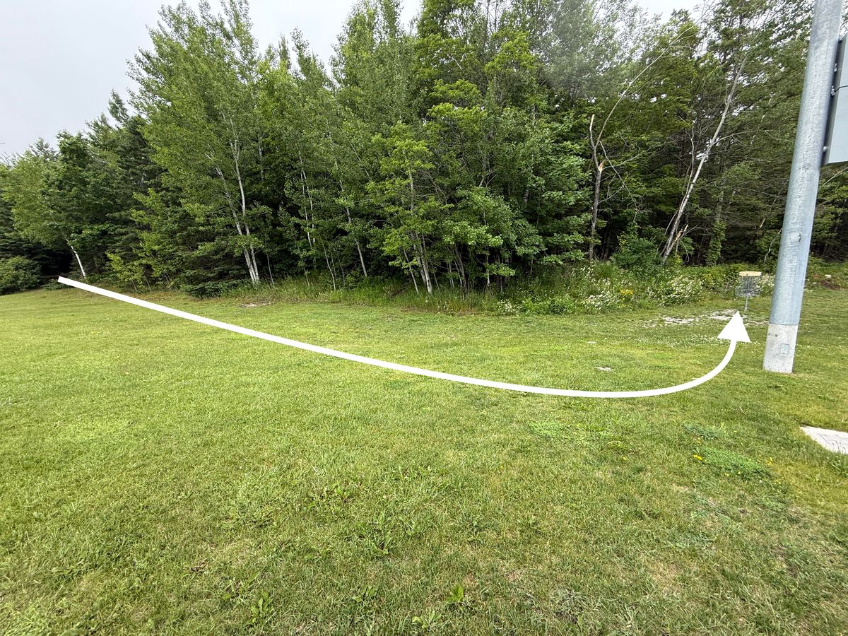 Hole 4 - view from near basket