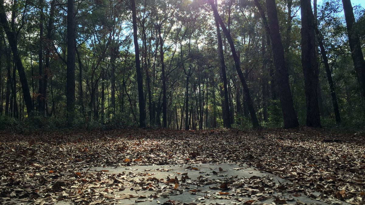 Hole 6