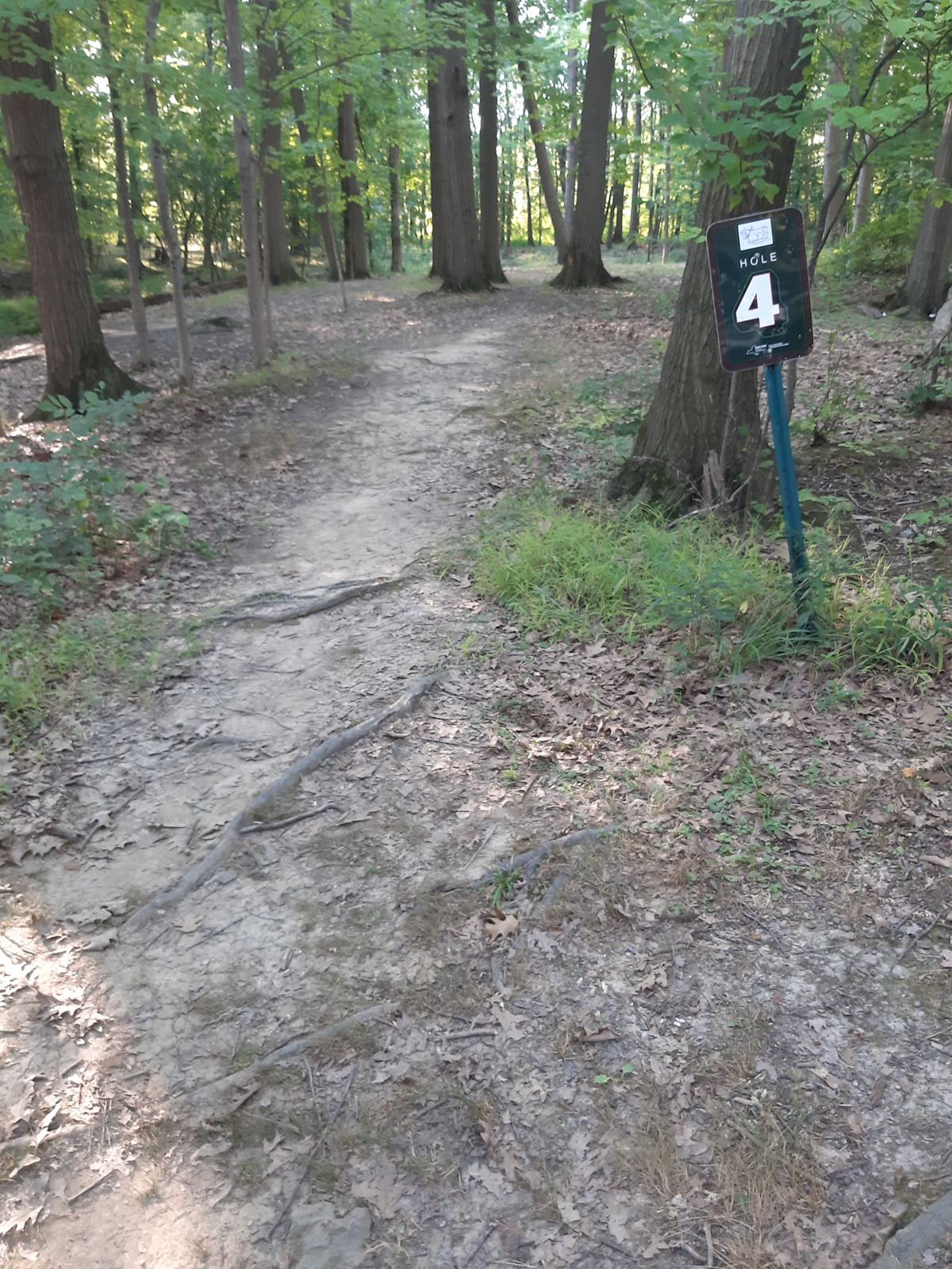 This is what they call a tee box area