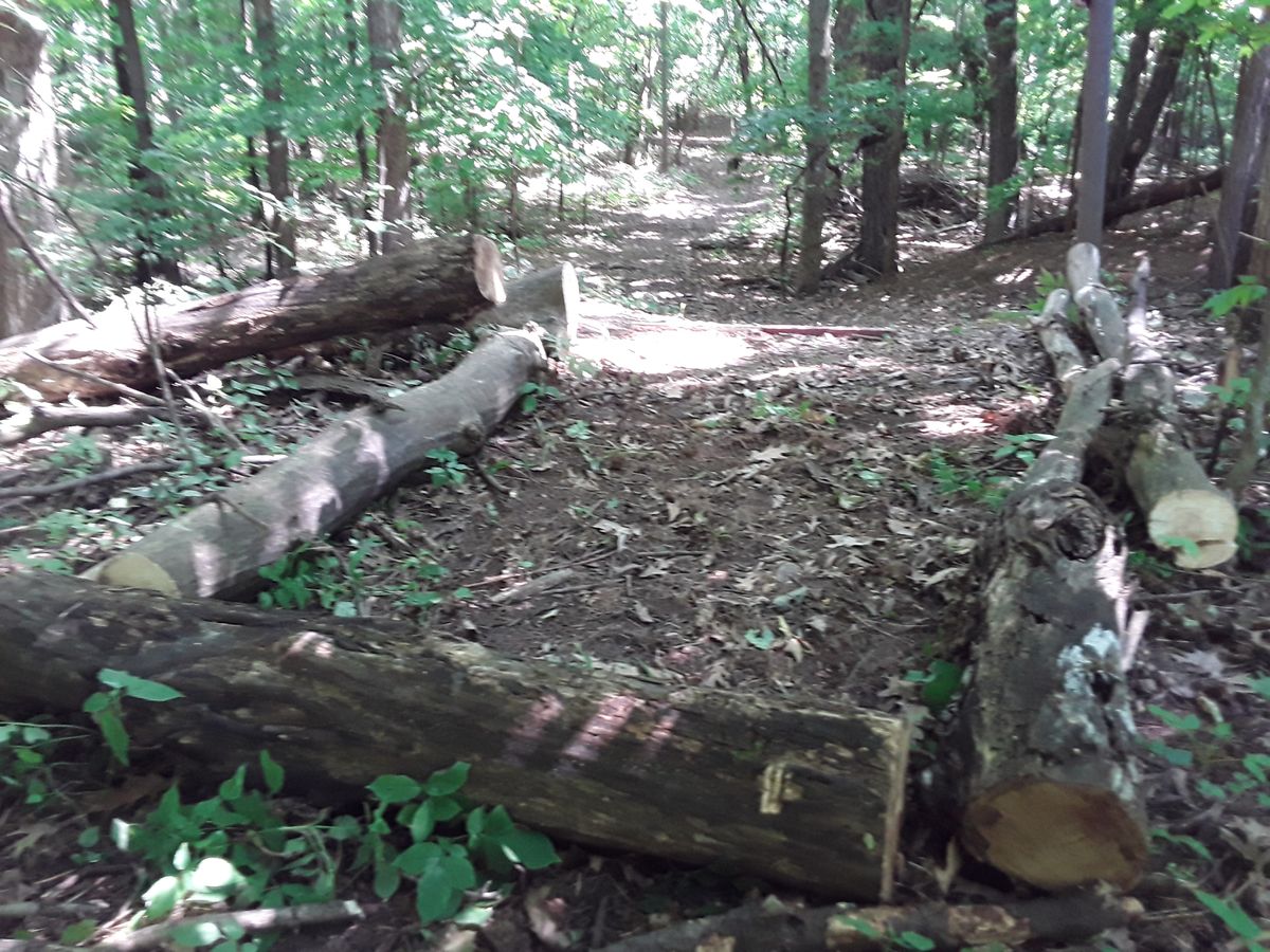 Hole 8 tee box made out of storm damage. 🙂