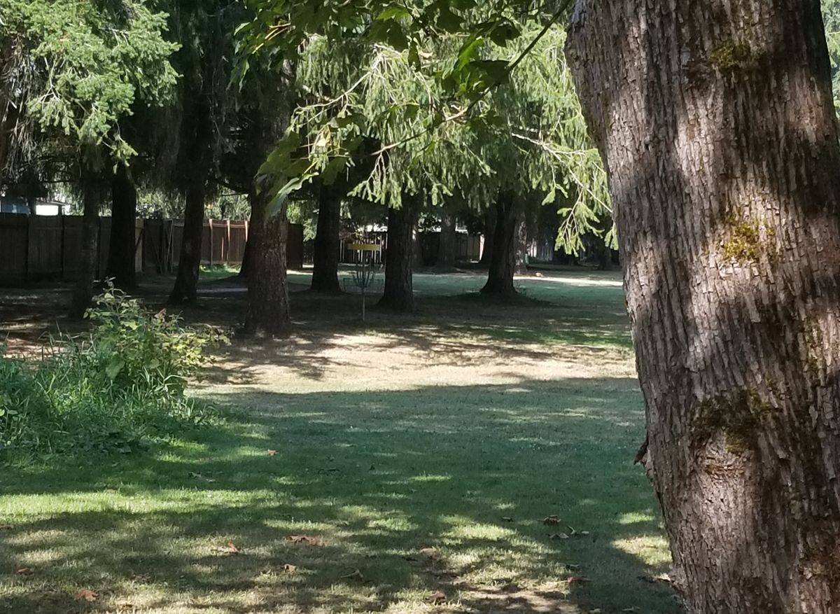 6th hole. Basket in amongst the trees
