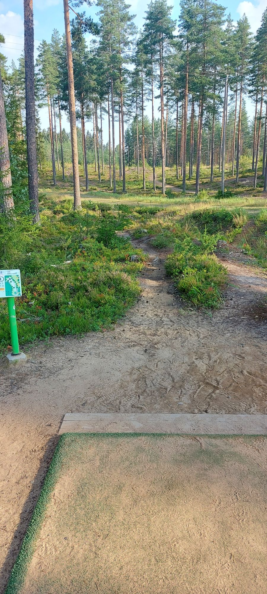 Tee 1