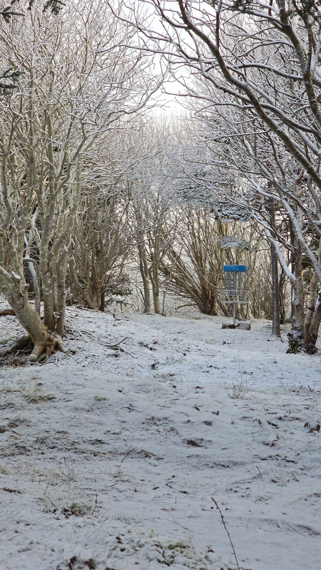 Snowy hole 12