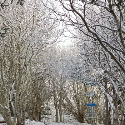 Snowy hole 12