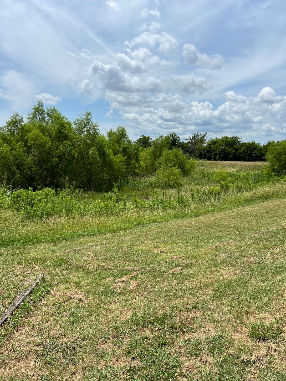 Hole 3 tee. The basket is behind the shrubbery on the slope of the retention pond.