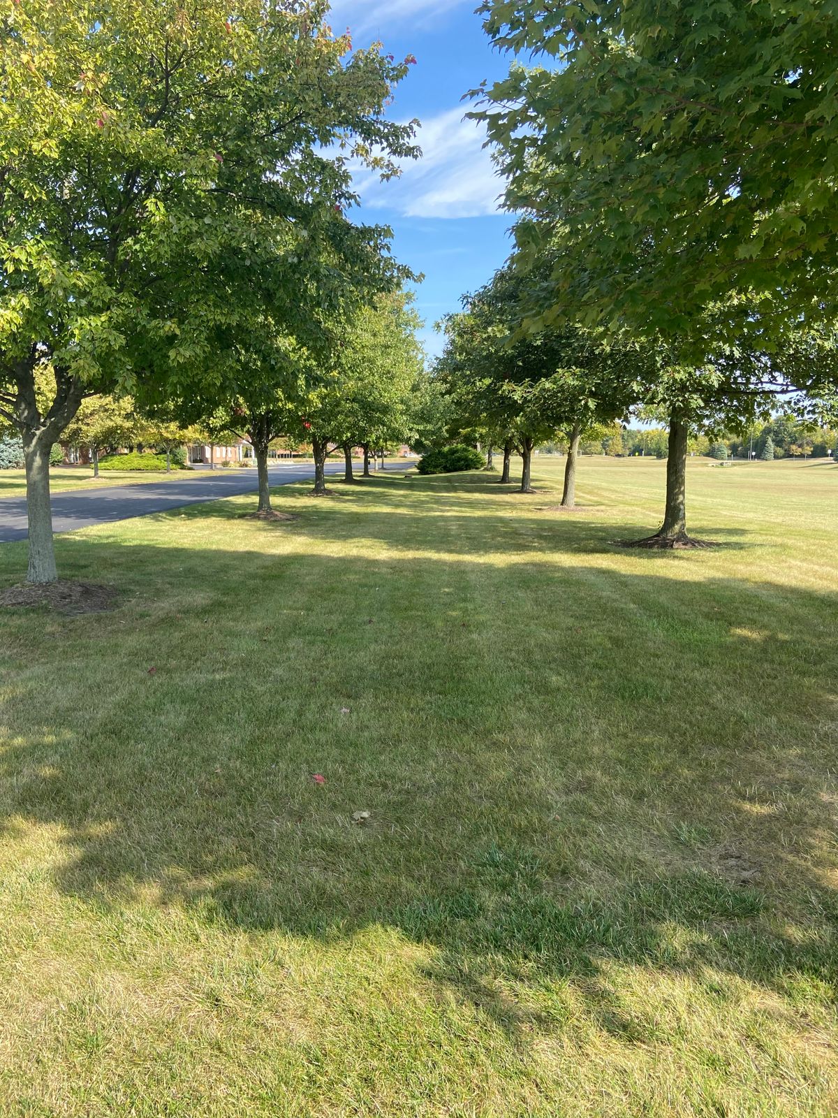 The view of hole 7