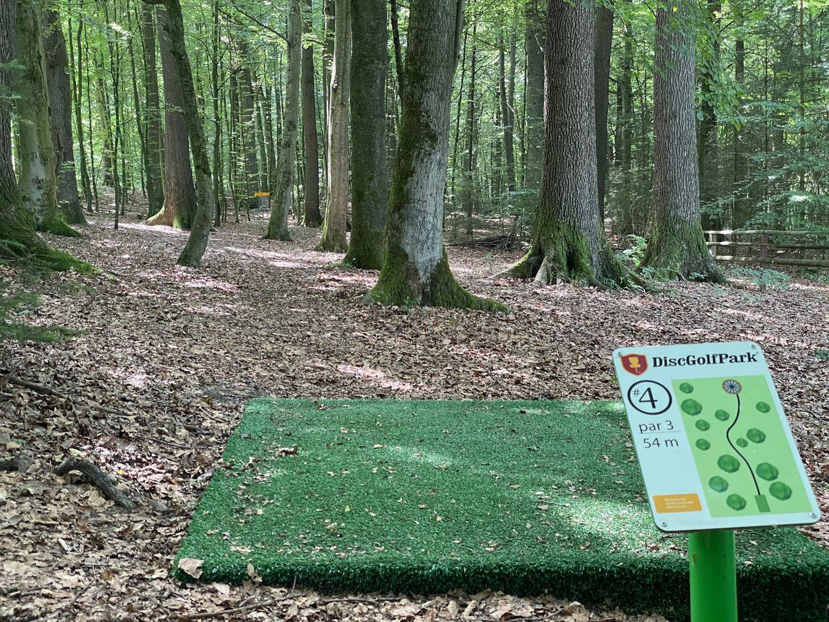 Four takes you into the woods