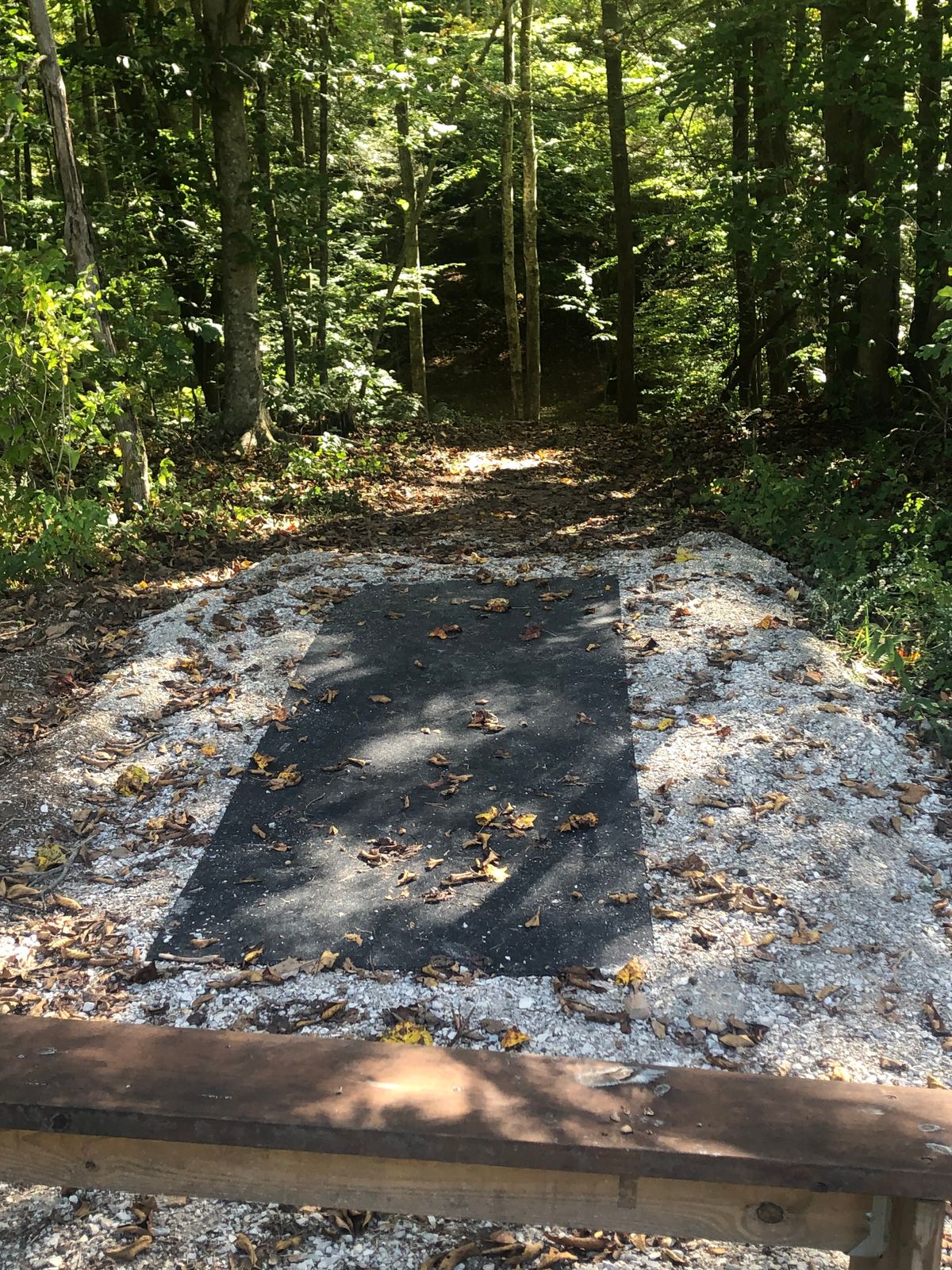 Hole 3 Tee pad. Plays straight down hill