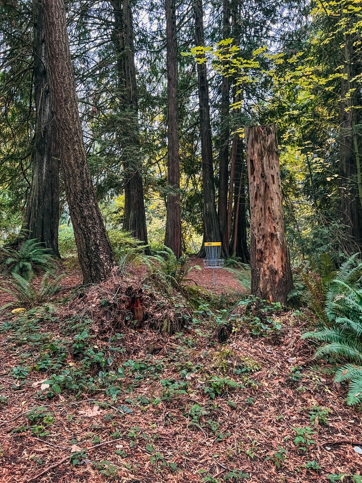 Hole 17