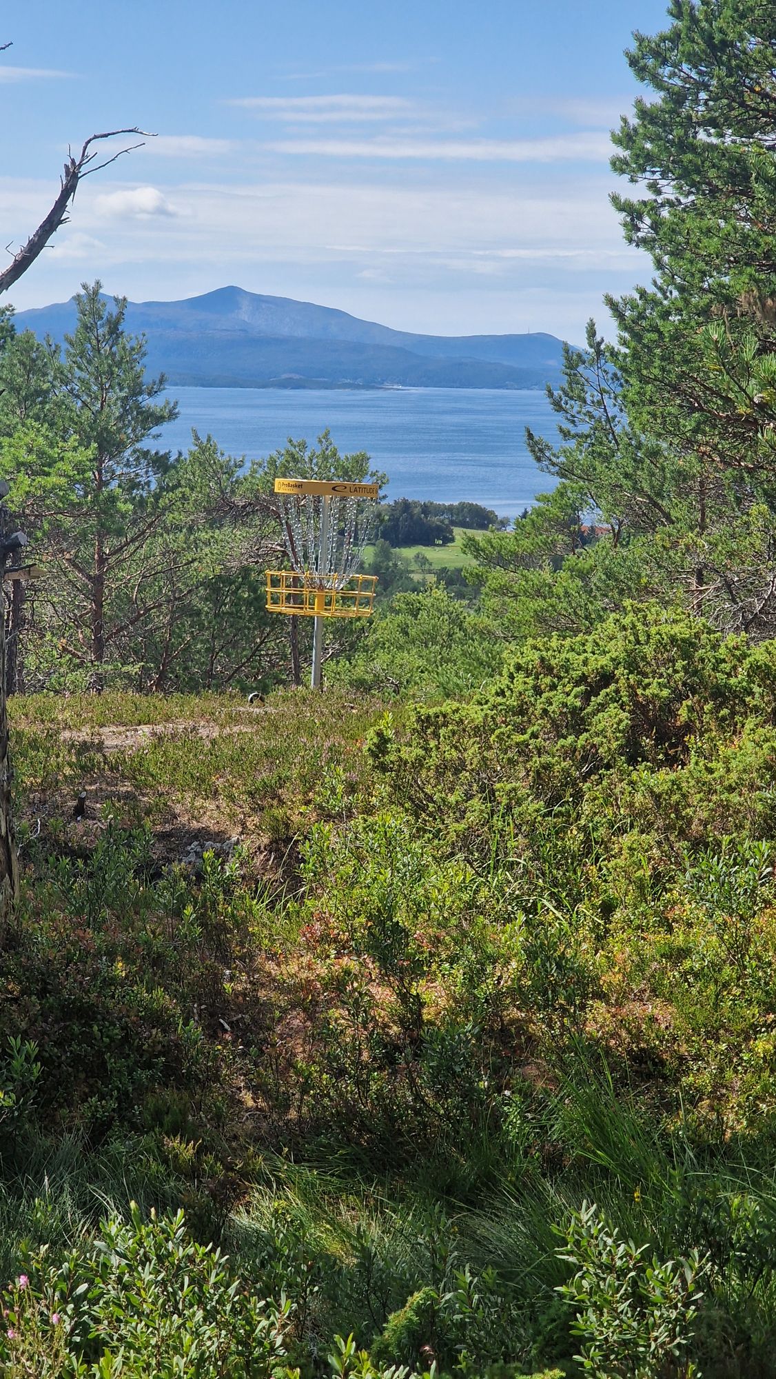 Utsikt