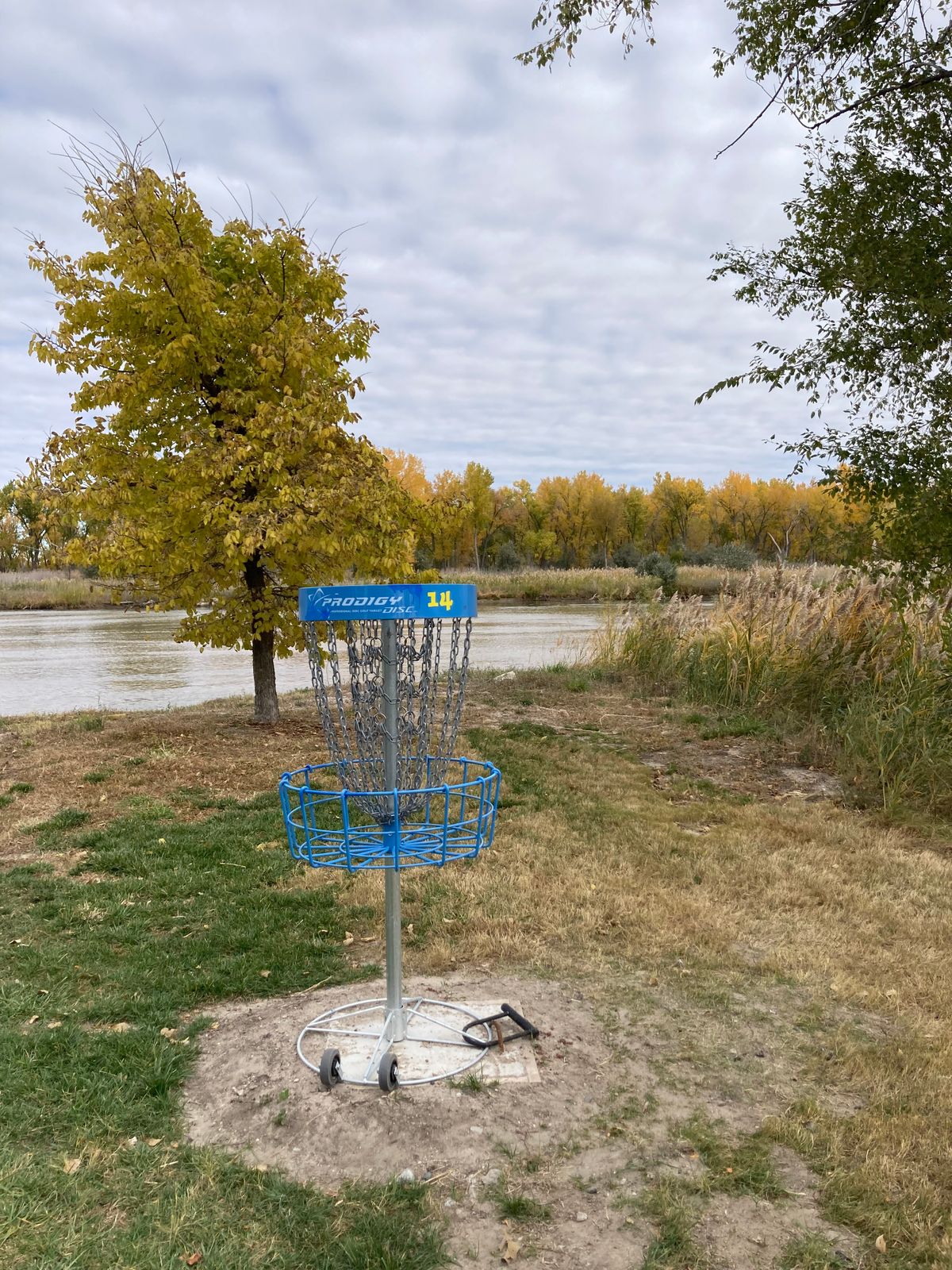 Portable basket 14