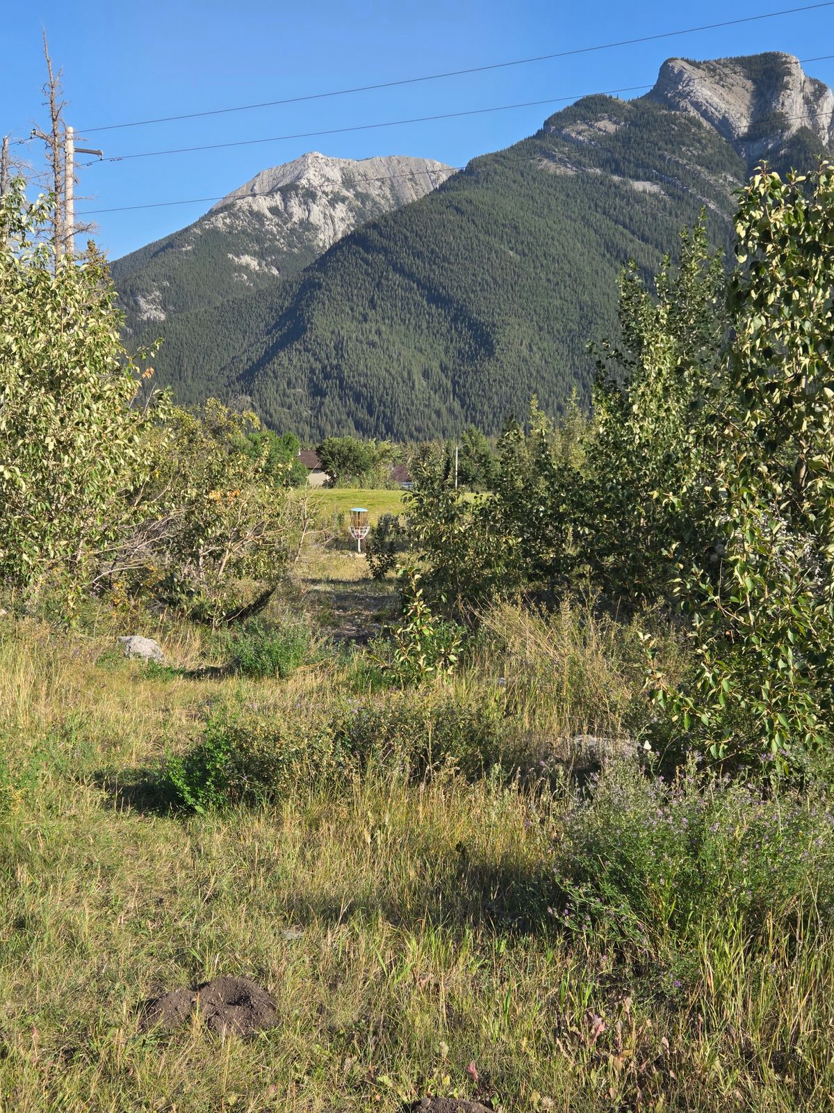Hole 4