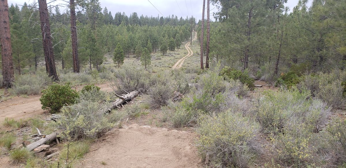 View from the pad at hole 5. This hole is long downhill shot that plays along the road and under the power lines.