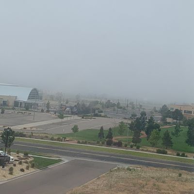 A photo of the small course/park with Bal Seal to the left.