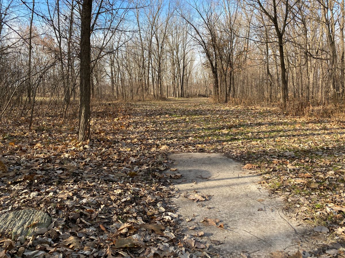 Hole 7, long pad. Pin is up and to the right.