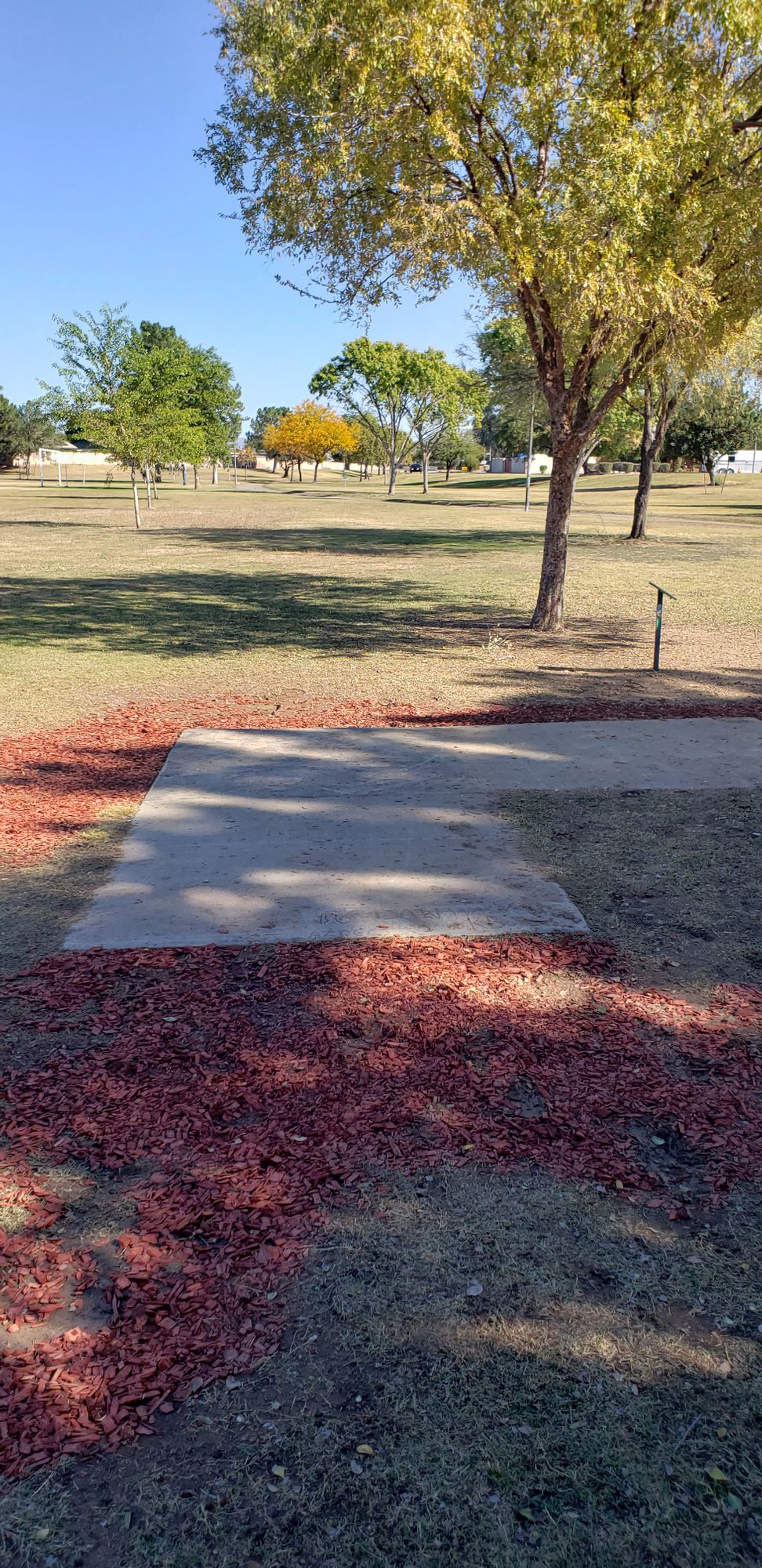 hole 16 tee