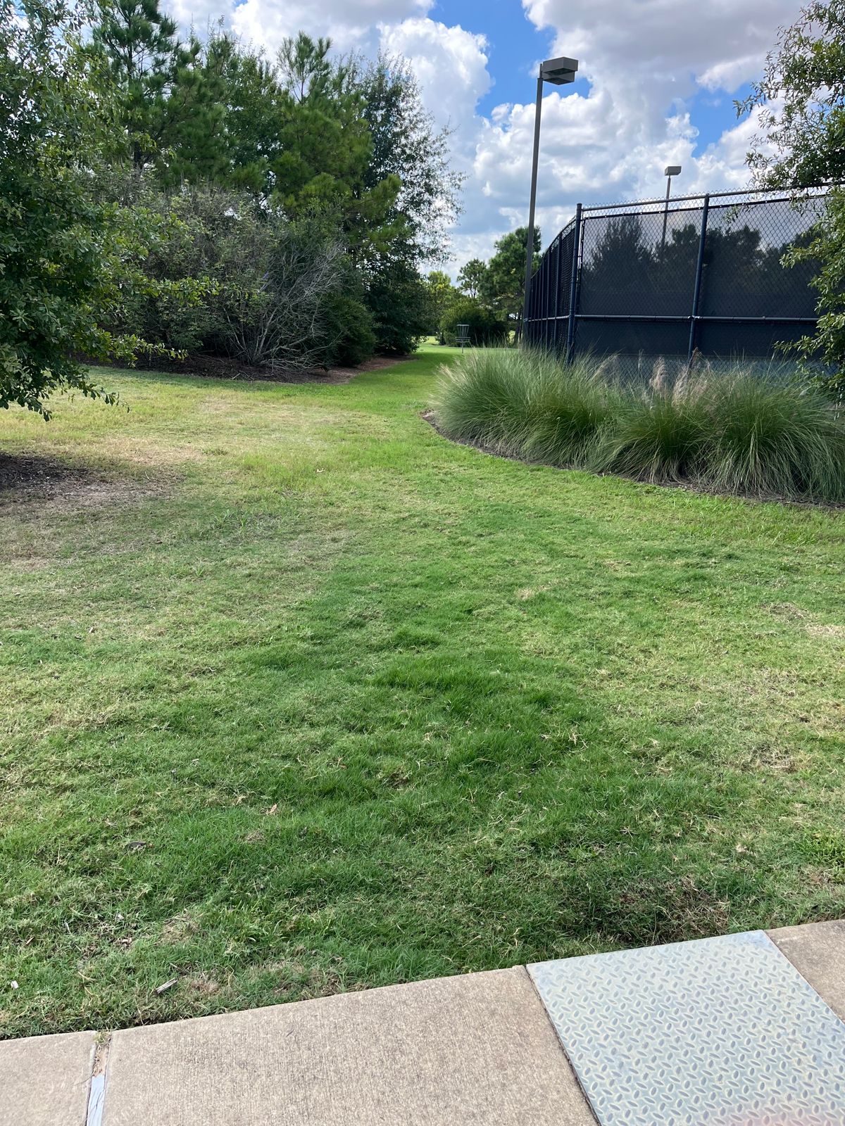 Hole #3 tee is sidewalk. Hole plays a tunnel past the tennis courts. Tennis courts are OB.