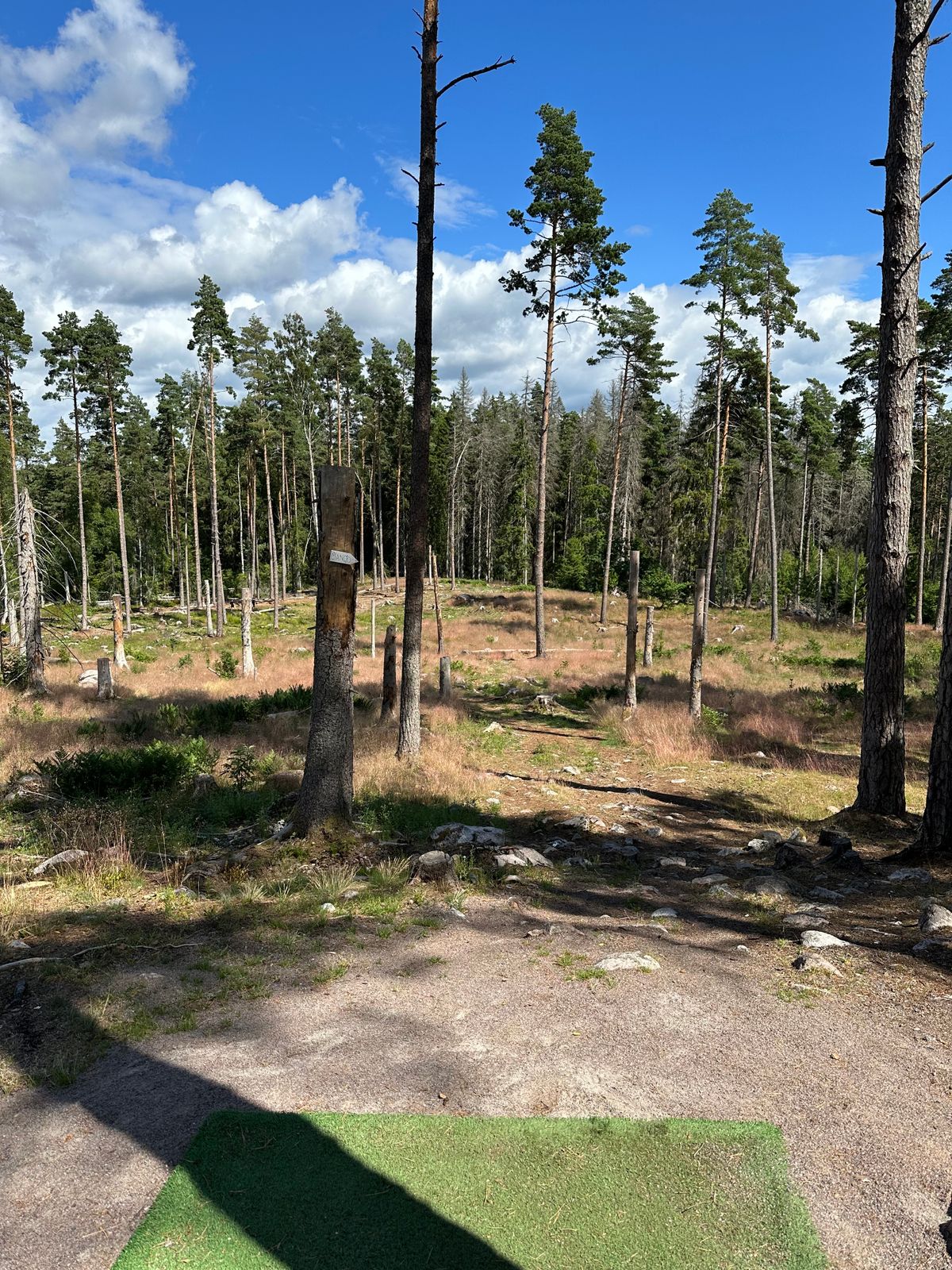 Hål 4