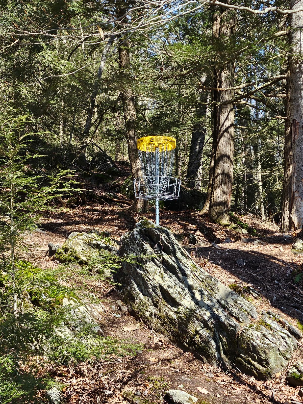2nd Hole