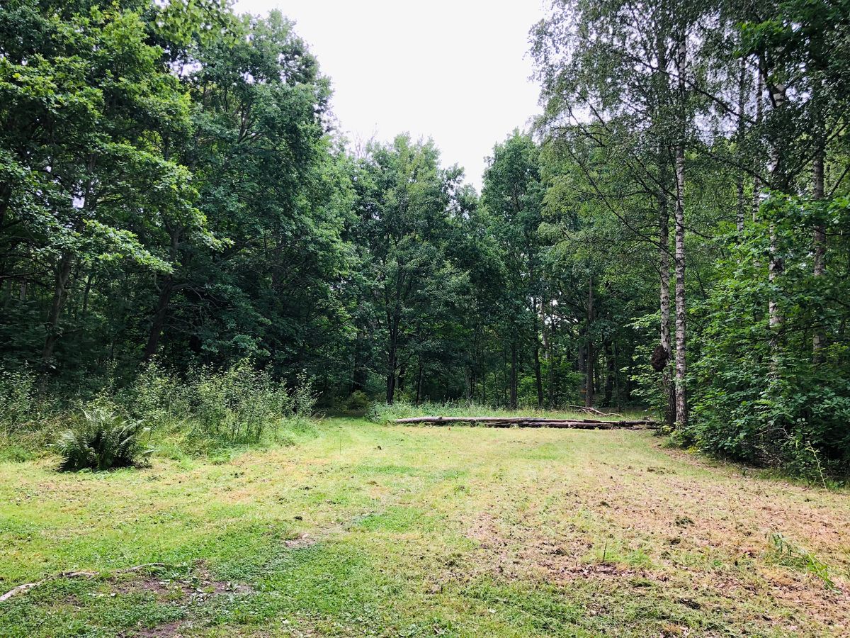 10a