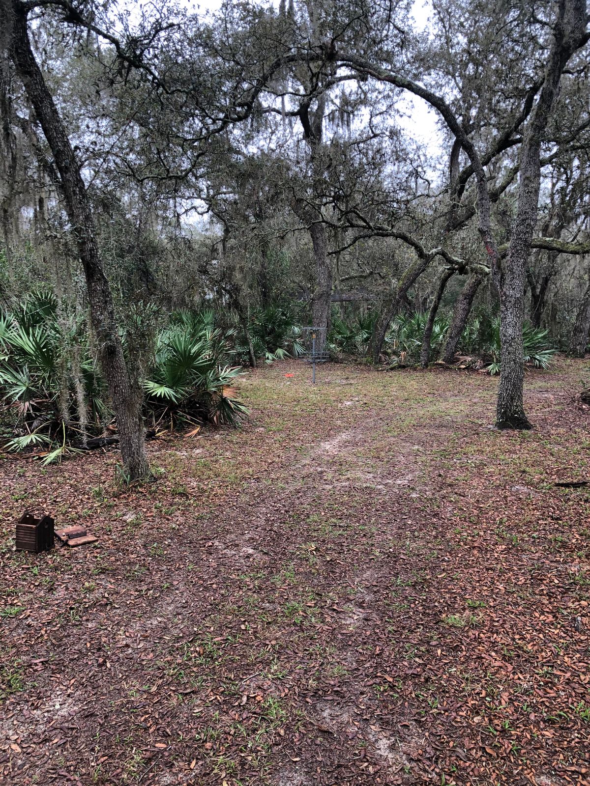 Hole 17 fairway