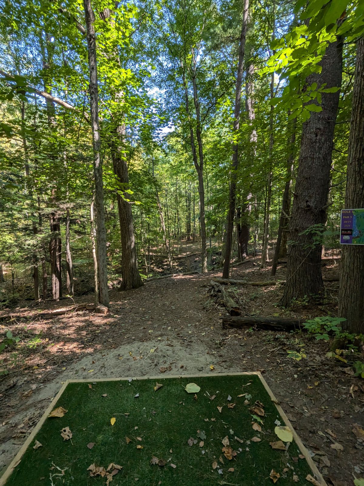 Hole 3, basket tucked to the left.
