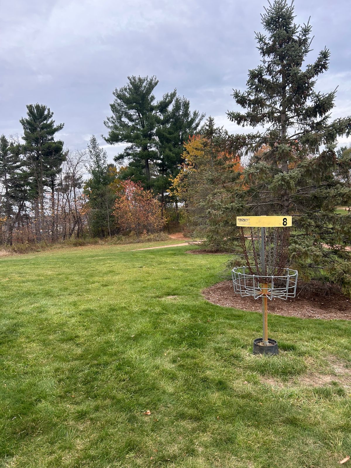 Hole 8 basket