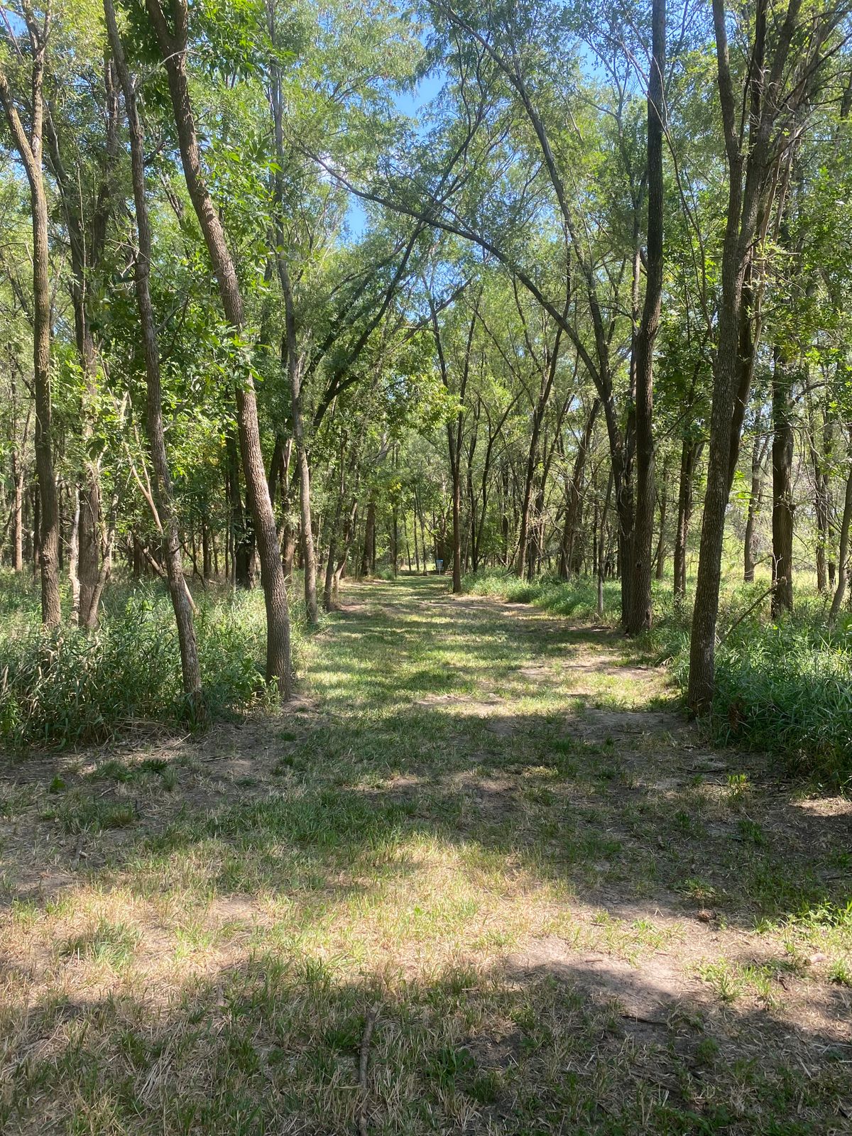 Hole 14 fairway