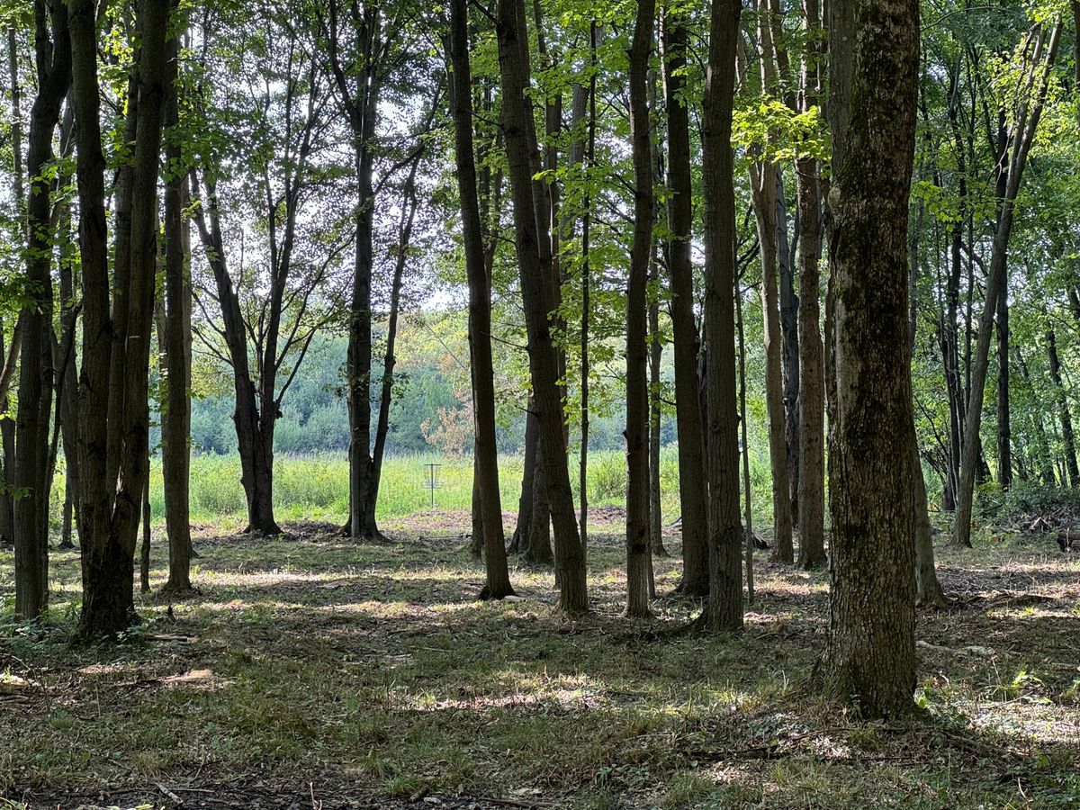 Hole 3