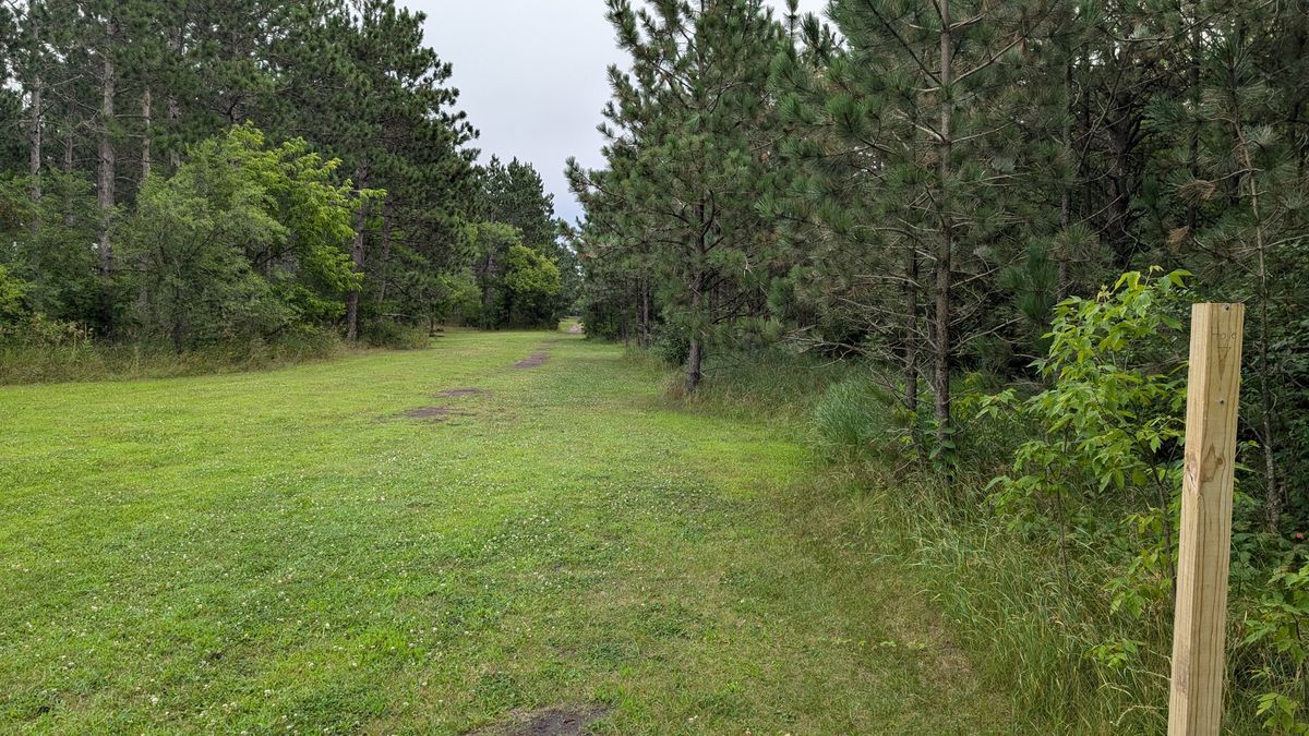 Hole 7