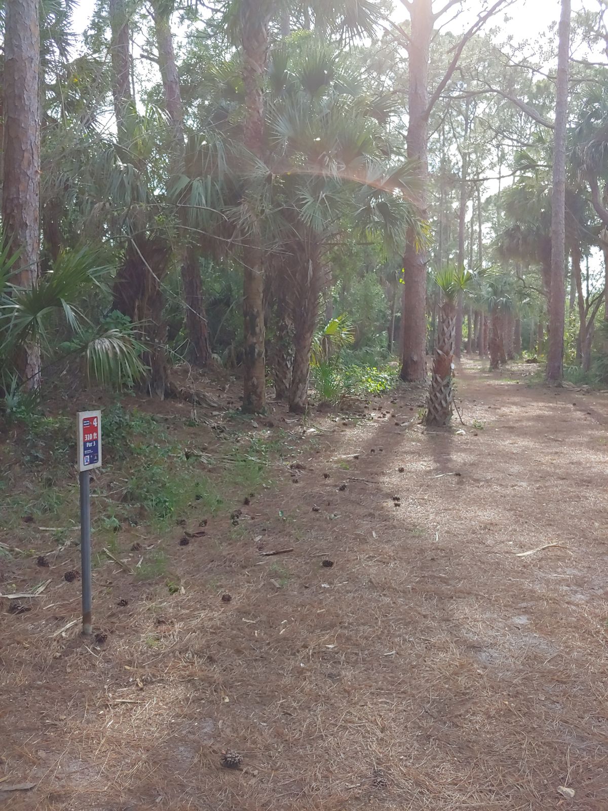 Hole 4. Pick your roller.