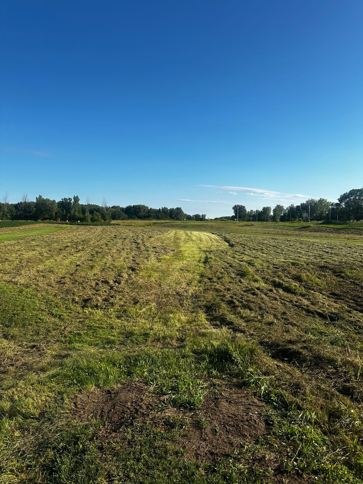 Hole 17 from tee box new fairway mowed