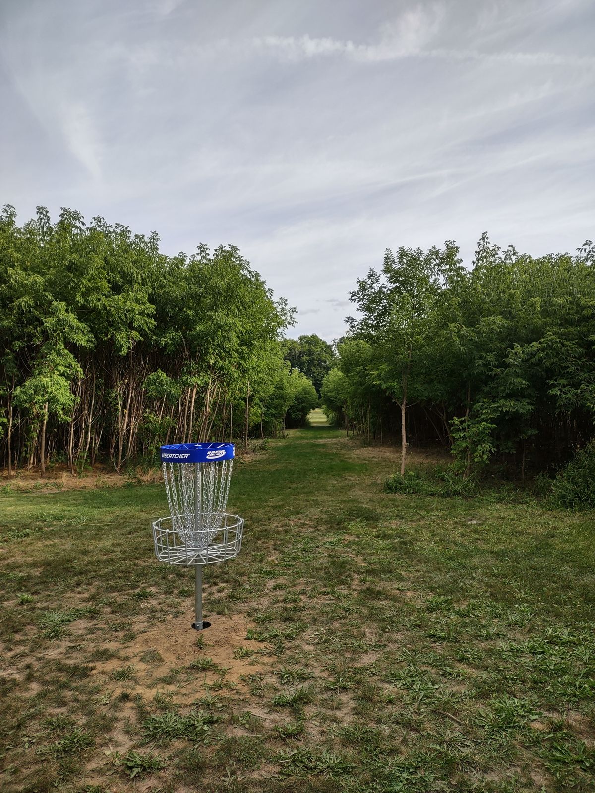 Hole 2 looking back toward tee
