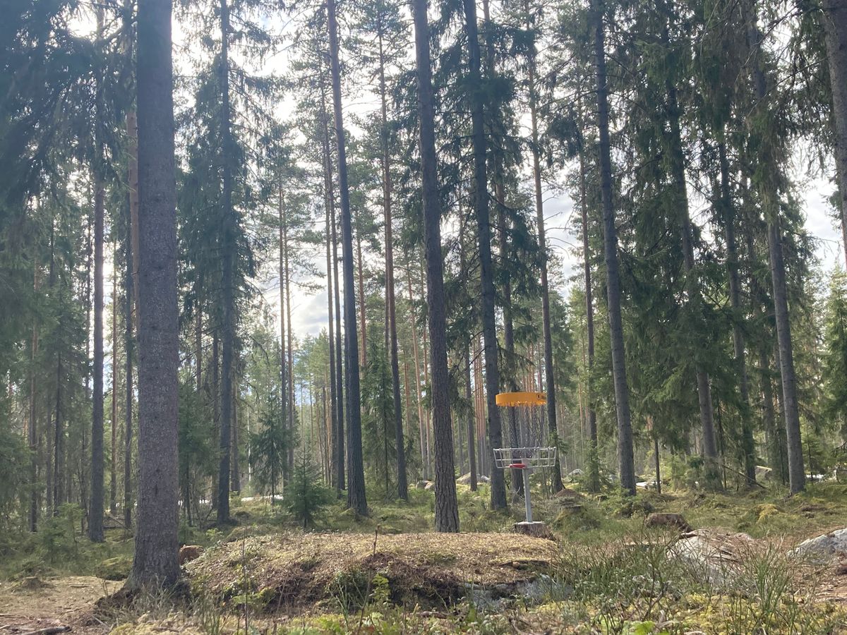 Hole 14 basket