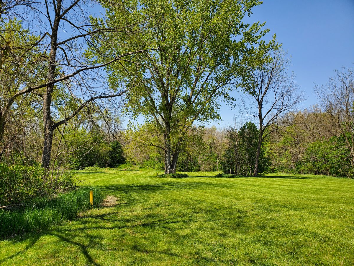 2nd tee