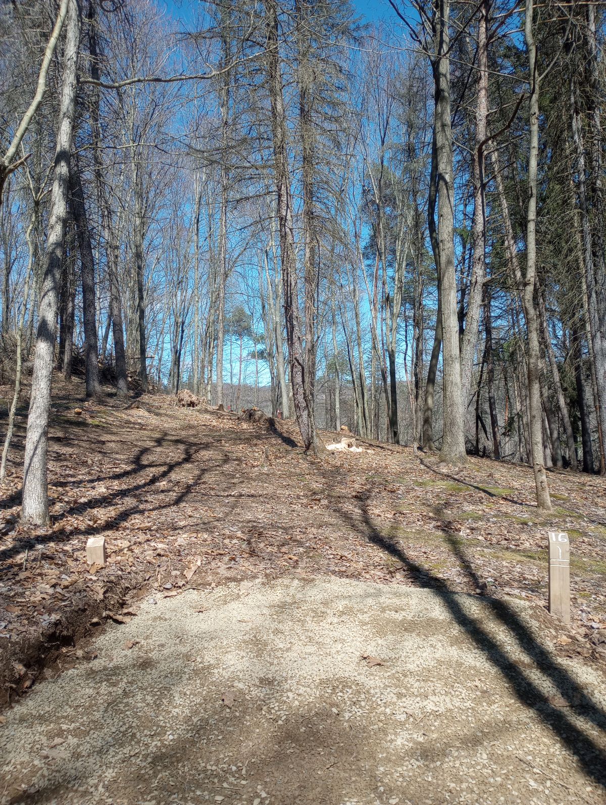 Hole 16 white tee (new)