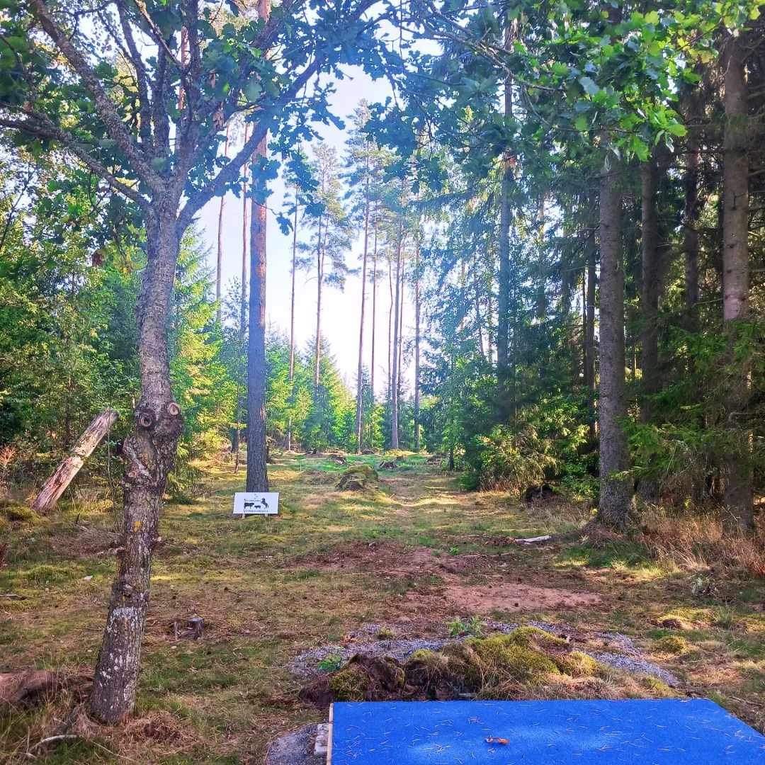 Hål 13