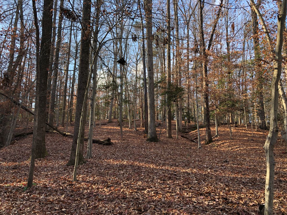 Hole 14 (fairway landing area looking uphill toward basket)